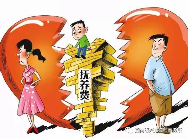撫養(yǎng)費(fèi)